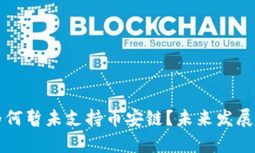 TP钱包为何暂未支持币安链？未来发展趋势分析