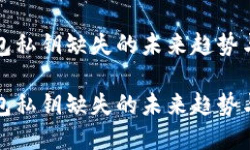 比特币钱包私钥缺失的未来趋势与解决方案

比特币钱包私钥缺失的未来趋势与解决方案