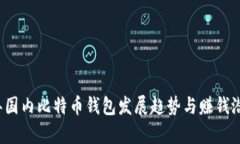 2024年国内比特币钱包发展趋势与赚钱