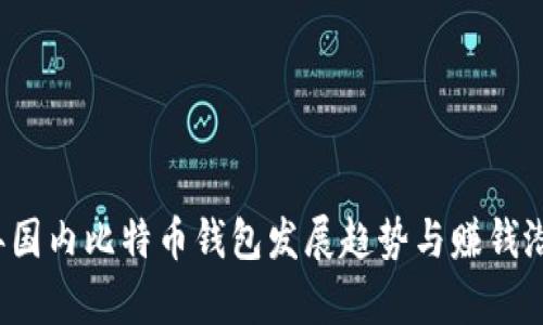 2024年国内比特币钱包发展趋势与赚钱潜力分析