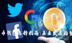 2024年比特币钱包选择指南：未来发展