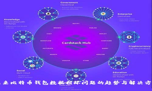未来比特币钱包数据损坏问题的趋势与解决方案