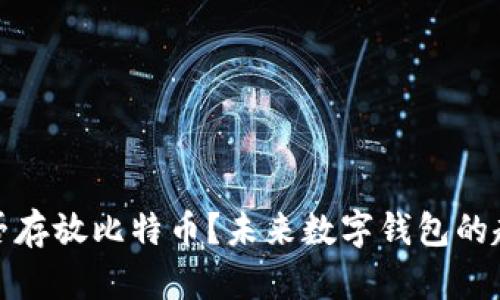 TP钱包能否存放比特币？未来数字钱包的趋势与发展