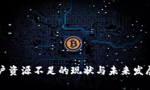 TP钱包账户资源不足的现状与未来发展趋势分析
