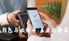苹果钱包与比特币：未来趋势与发展