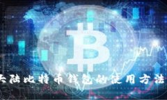 深入解析：大陆比特币钱包的使用方法