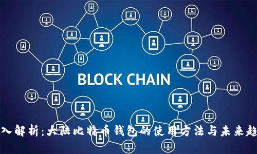 深入解析：大陆比特币钱包的使用方法与未来趋势