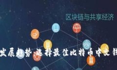 解析未来发展趋势：选择最佳比特币中