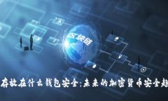 比特币存放在什么钱包安全：未来的加