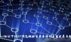 Omni协议下USDT钱包地址交易查询的未来