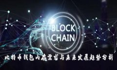 比特币钱包内存需求与未来发展趋势分