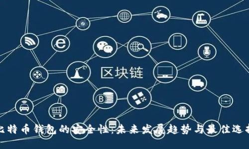 比特币钱包的安全性：未来发展趋势与最佳选择