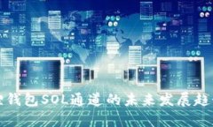 小狐狸钱包SOL通道的未来发展趋势解析