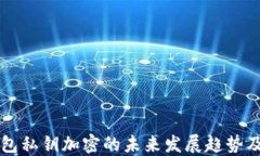 以太坊钱包私钥加密的未来发展趋势及