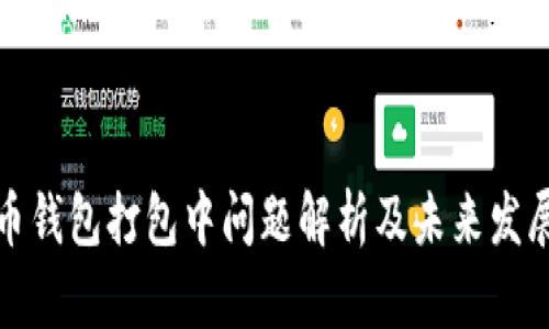 比特币钱包打包中问题解析及未来发展趋势