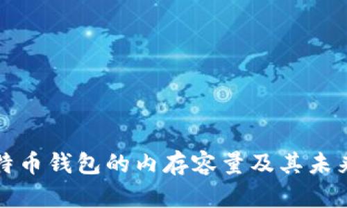 ### 比特币钱包的内存容量及其未来发展趋势
